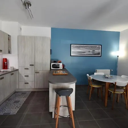 - T3 Calme Et Spacieux Avec Jardin Et Parking, Proche Port Et - Fr-1-420-49 * Arcachon